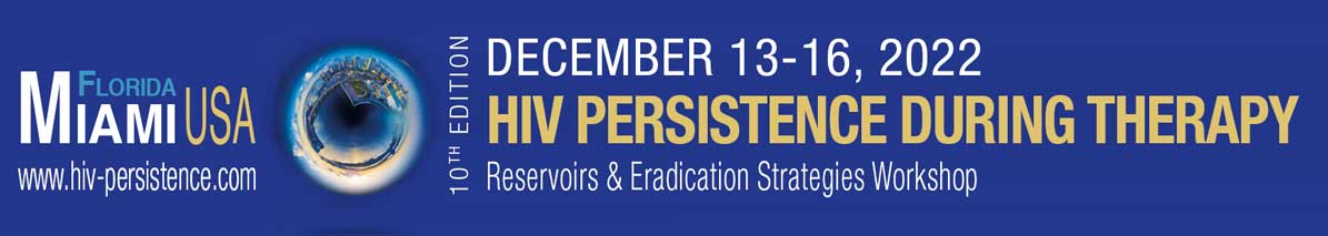 HIV Persistence during therapy